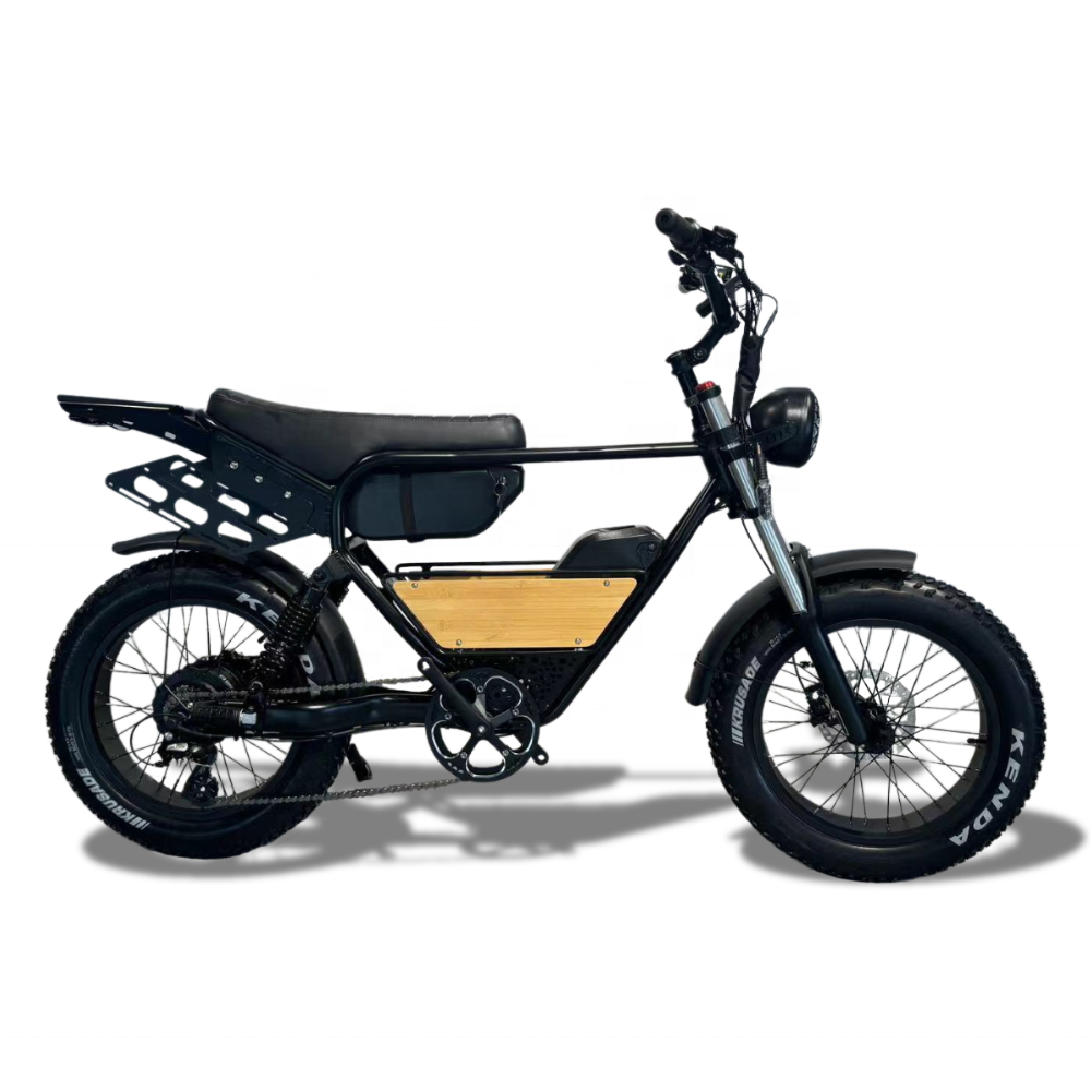 2024 New Style 20 wheel size 100 watt e-bike electric mountain bike with 20inch Fat Tire