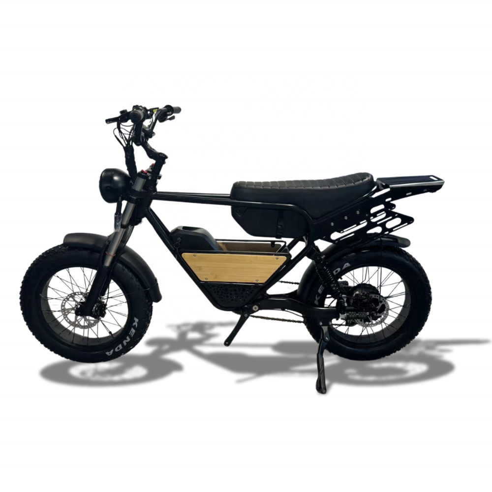 2024 New Style 20 wheel size 100 watt e-bike electric mountain bike with 20inch Fat Tire