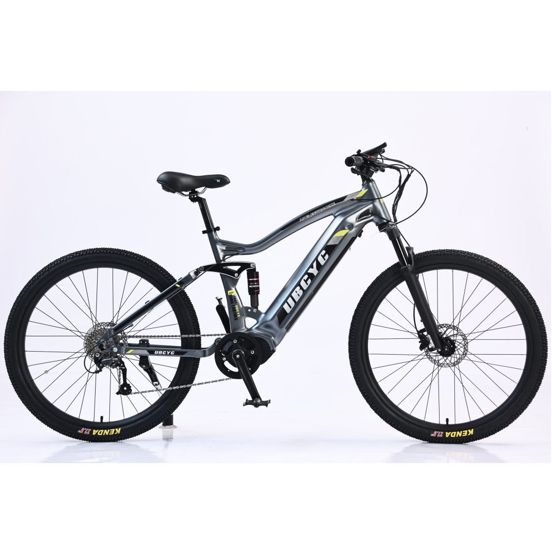 750W Full Suspension Electric Mountain Bike with Middle Motor Fat Electric Bike Genre