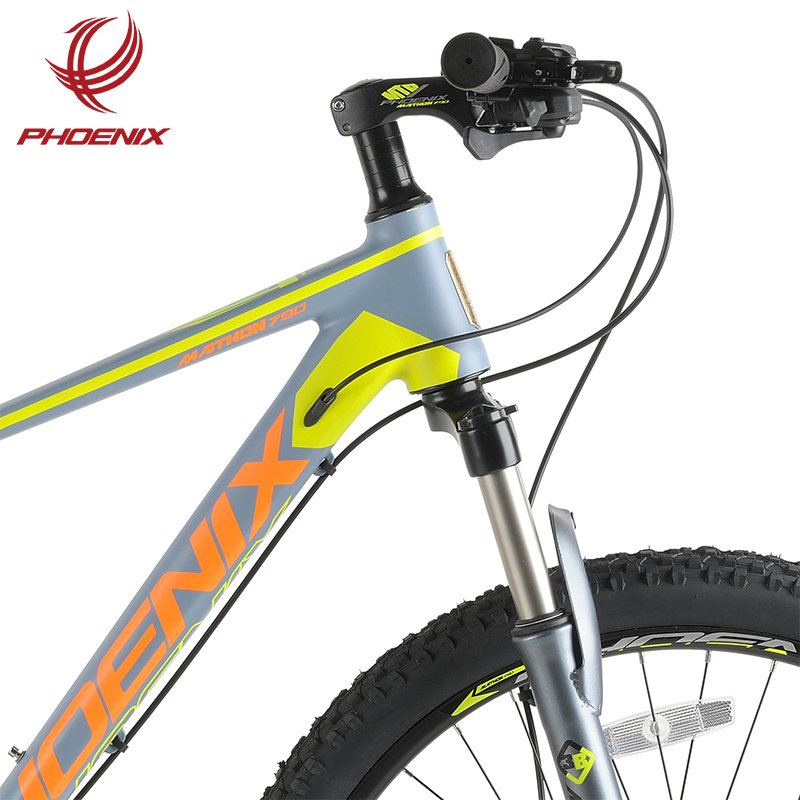 Phoenix Inventory 3 Days Delivery 26 "10 Speed Mountain Bike Aluminum Alloy Hydraulic Brake Mtb Bike
