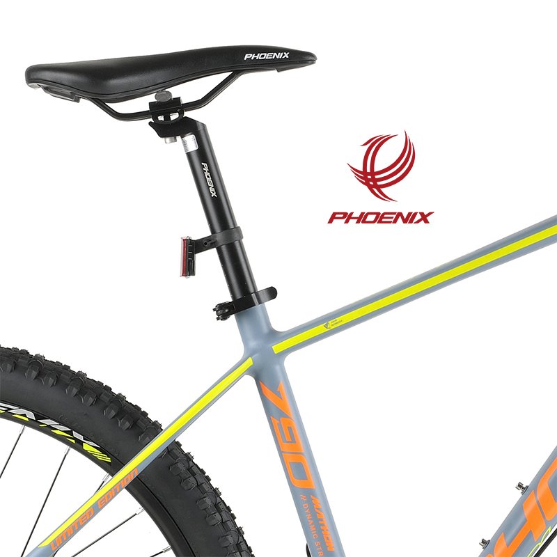 Phoenix Inventory 3 Days Delivery 26 "10 Speed Mountain Bike Aluminum Alloy Hydraulic Brake Mtb Bike