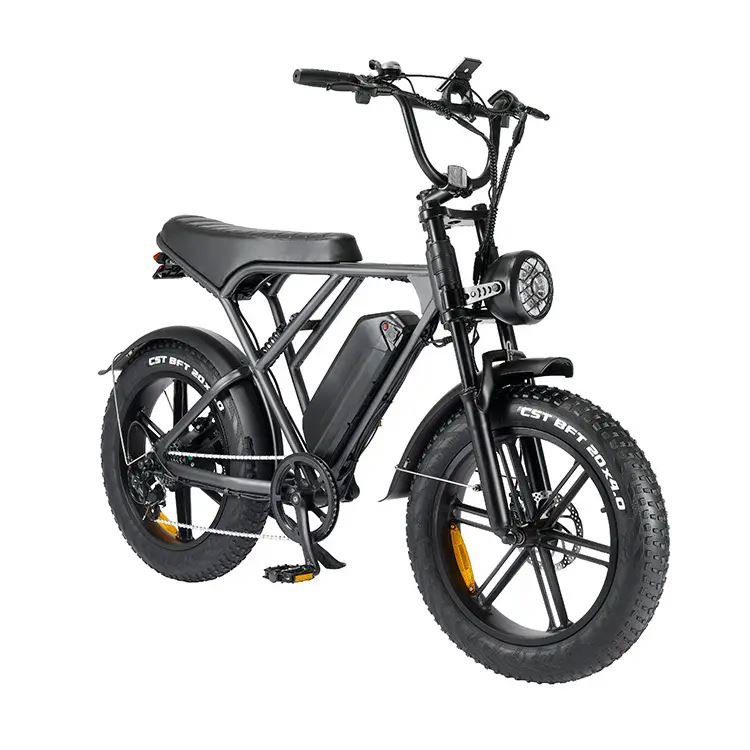 China Wholesale 48v 20 Inch Fat Tire City Electric Bicycle 7 Speed Mountain E Bike For Adults electric hybrid bike