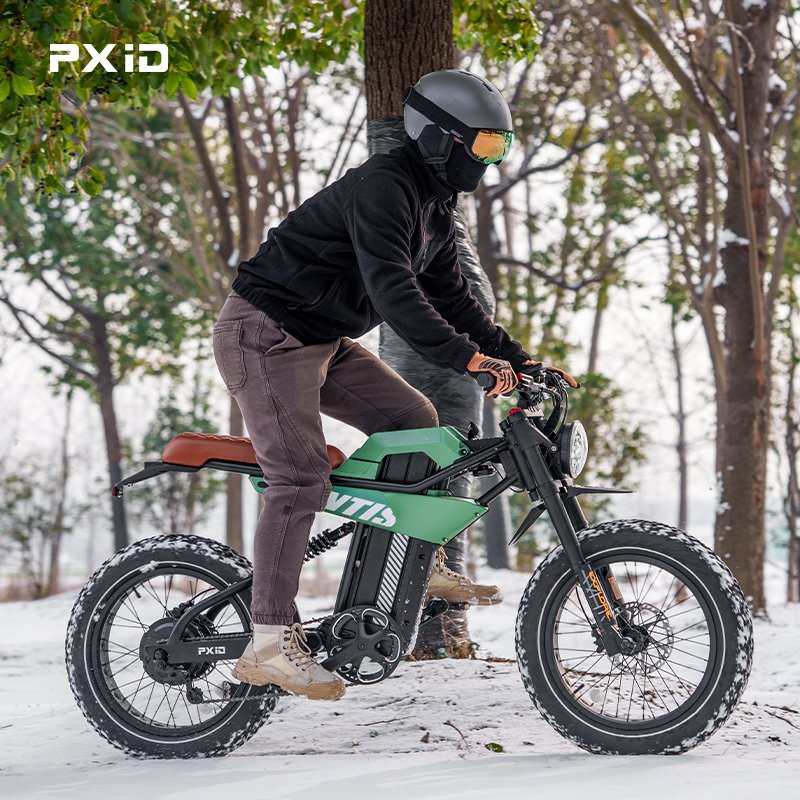 Wholesale PXID MANTIS P6 20 inch best fatbike 750w 1200w electric mountain bike full suspension e bicycle mtb