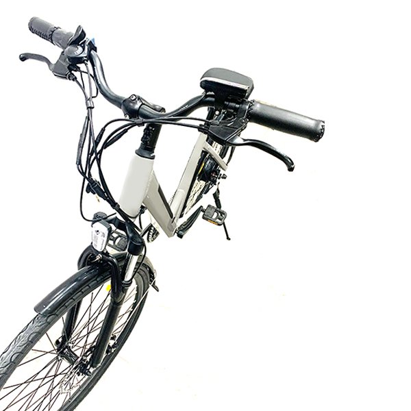 GDS EBIKE C037 36v 250W battery pedal electric bike electric city bike e bike