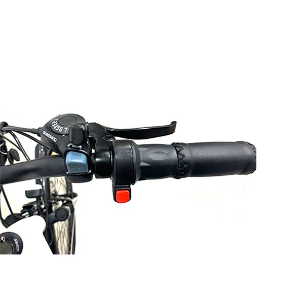 GDS EBIKE C037 36v 250W battery pedal electric bike electric city bike e bike