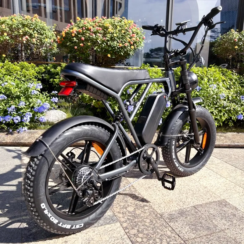EU  Electric Bike V8 250W 1000W 48V Double Battery 30AH Ebike 100KM Range Fatbike With EU NL DE PL Warehouse