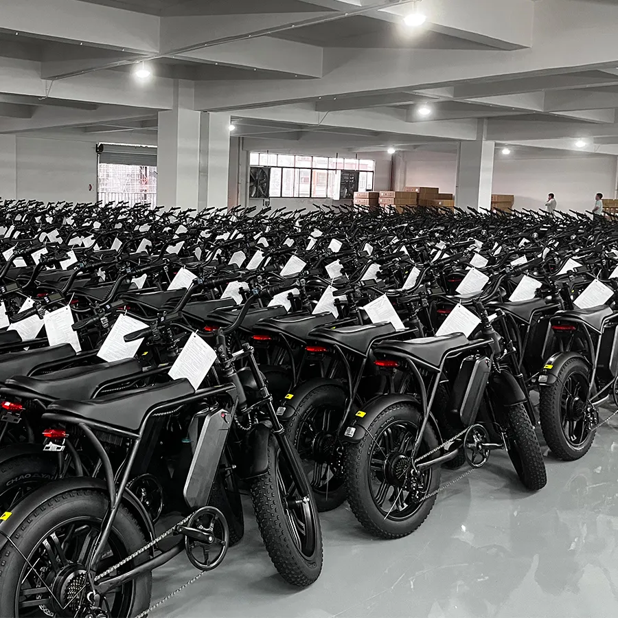 EU  Electric Bike V8 250W 1000W 48V Double Battery 30AH Ebike 100KM Range Fatbike With EU NL DE PL Warehouse