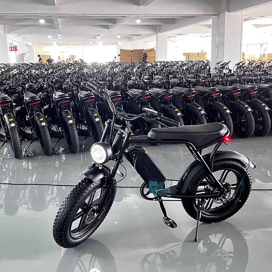 EU  Electric Bike V8 250W 1000W 48V Double Battery 30AH Ebike 100KM Range Fatbike With EU NL DE PL Warehouse