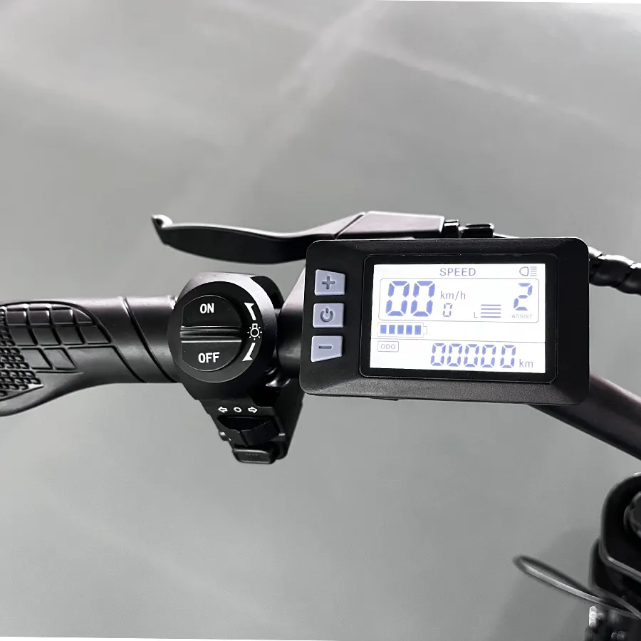 EU  Electric Bike V8 250W 1000W 48V Double Battery 30AH Ebike 100KM Range Fatbike With EU NL DE PL Warehouse