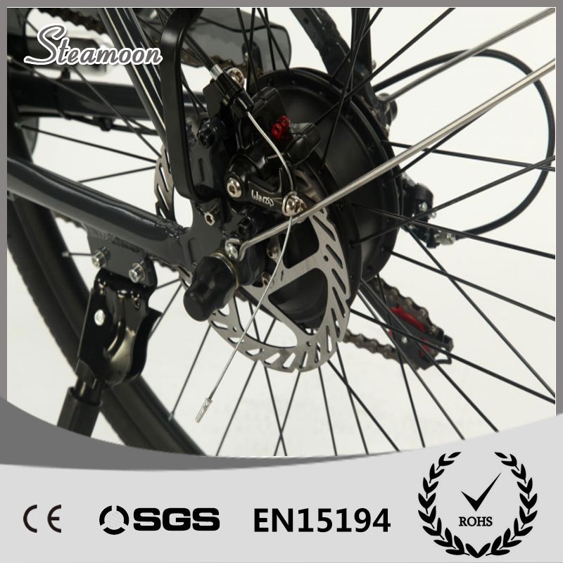 lady e-bikes electric bike city ride step through electric bicycle