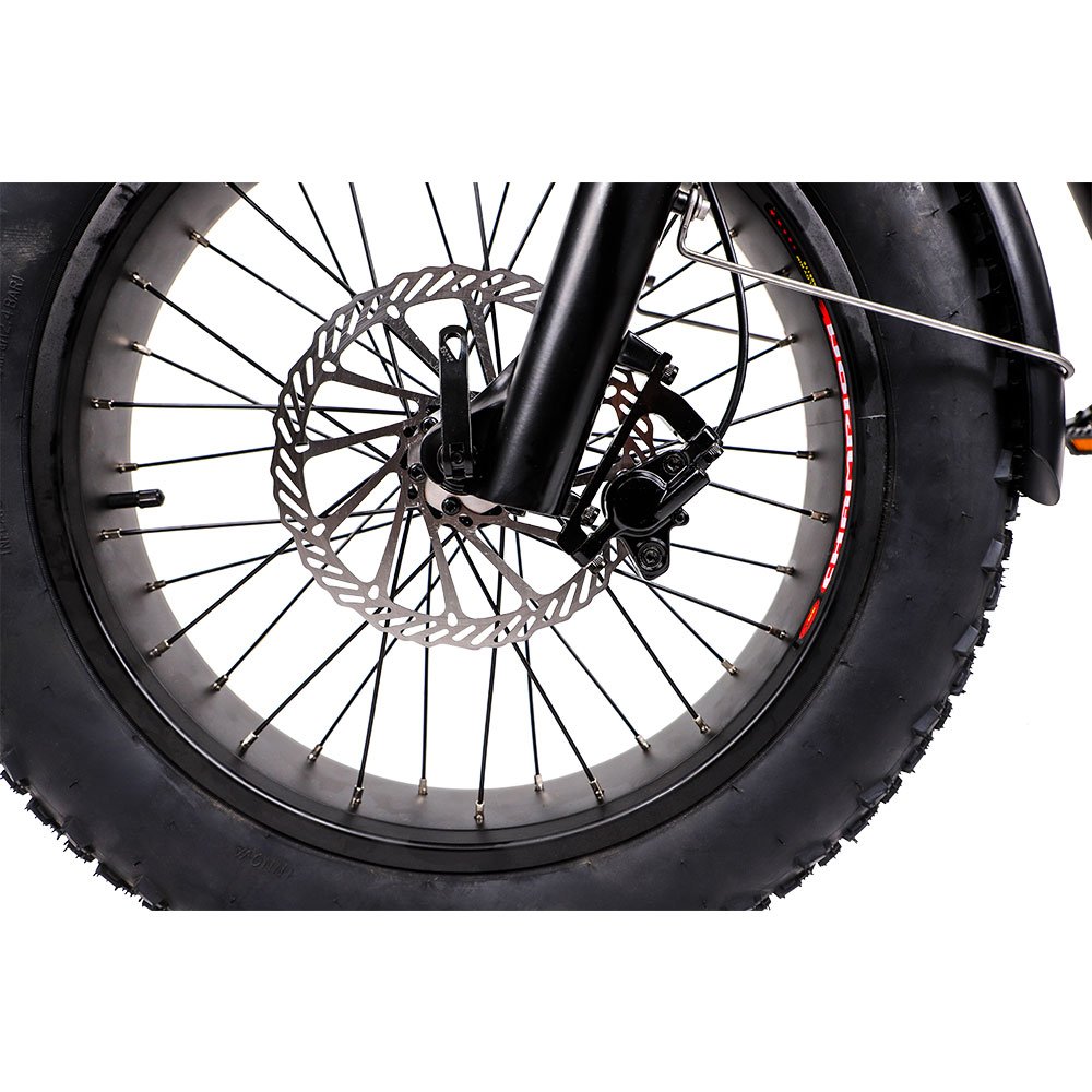 Aimos super star fat tire Retro Electric Bike 36V 250W Double Battery electric mountain bike 7 speed shimano Adult dirt E Bike