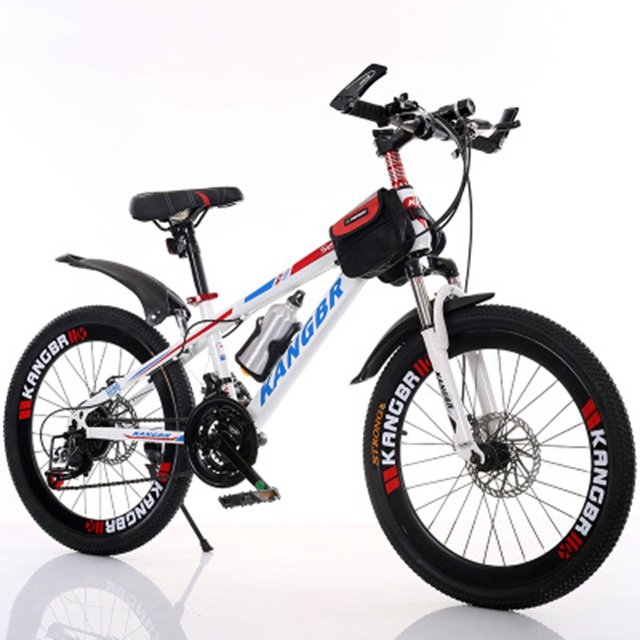 Chinese Men Mountain Bicycles Foldable for Adults Mountain Bike