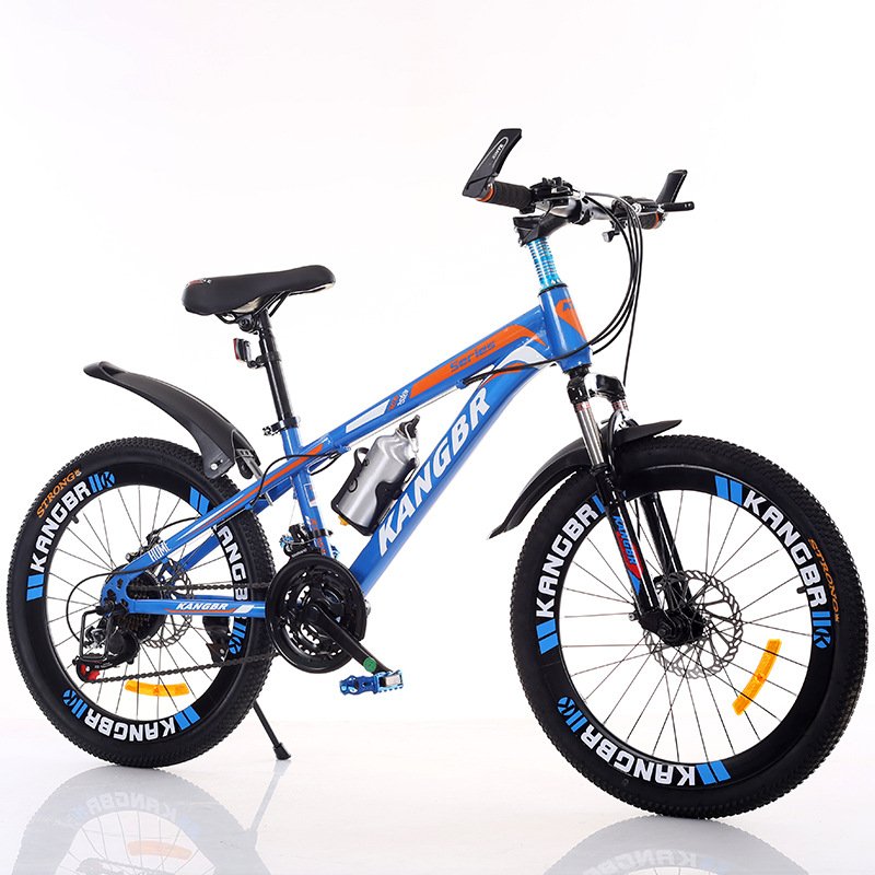 Chinese Men Mountain Bicycles Foldable for Adults Mountain Bike