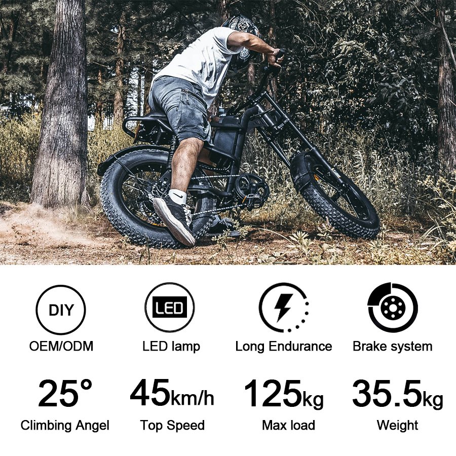 Riding'times Z8 electric fat tire e bike hydraulic brake fat tire e-bike in EU warehouse electric city ebike 250w 750w fatbike