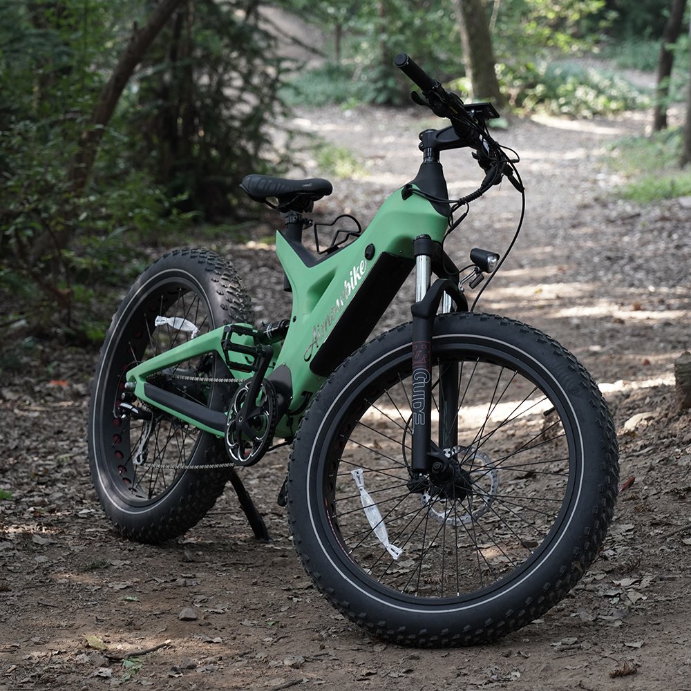 Aimos Factory direct sales Electric Mountain Bike 36V 250W Rear Drive motor Electric Bicycle with Aluminum alloy frame