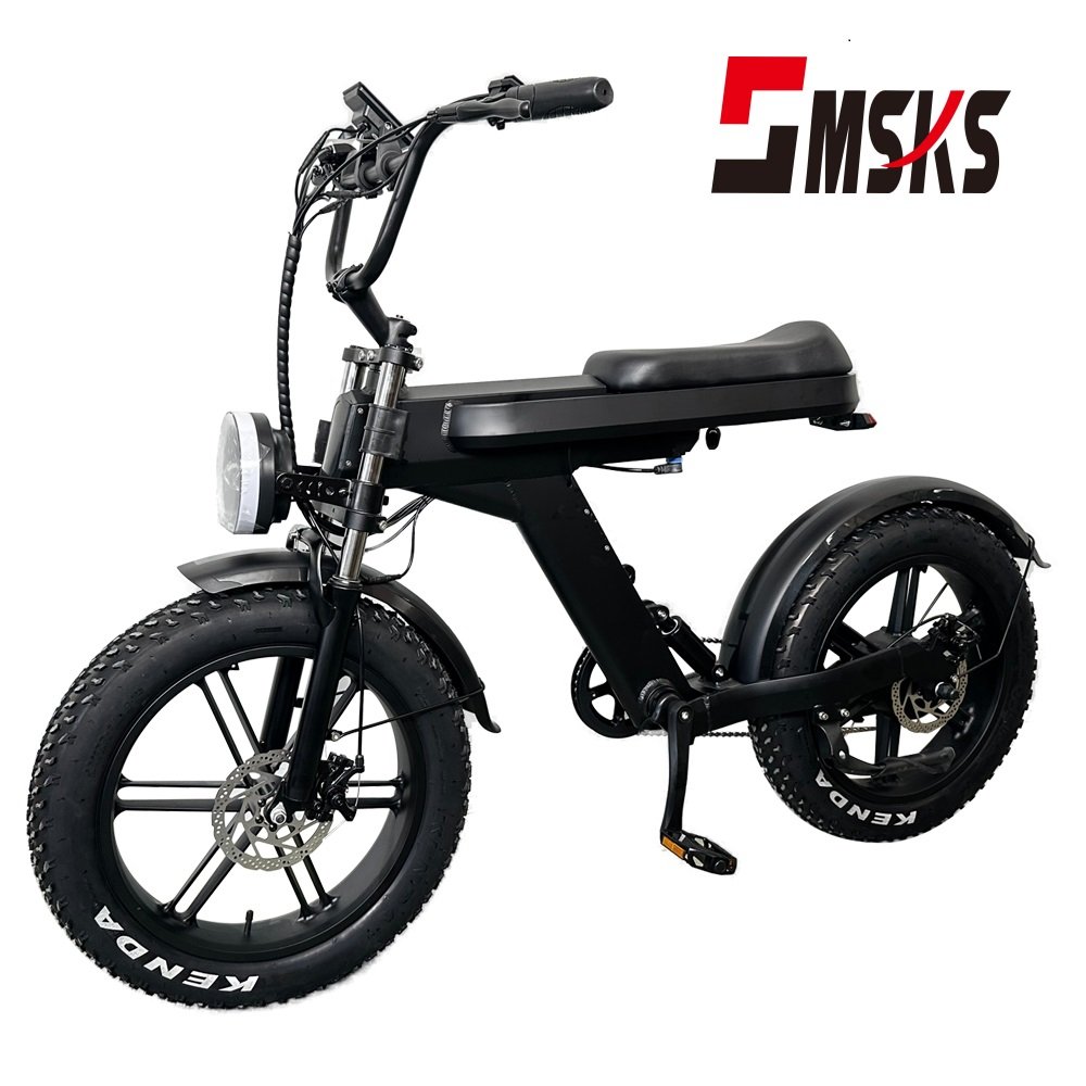 Removable Battery Electric Bike 2024 Newest Design 20inch 48V15AH 750W Motor Full Suspension Electric Mountain Bike