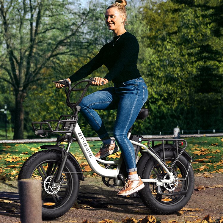ENGWE L20 EU Stock 7 Speeds Electric Bike 250W Electric Hybrid Bike for Adult 48V Lithium Battery E-bike