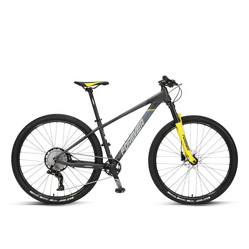 RTS FOREVER FM075 29 Inch 12 Speed Hydraulic Disc brake Mountain Bicycle Bike For Men