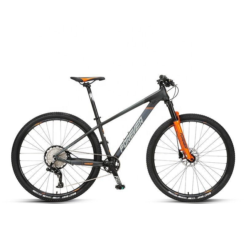 RTS FOREVER FM075 29 Inch 12 Speed Hydraulic Disc brake Mountain Bicycle Bike For Men