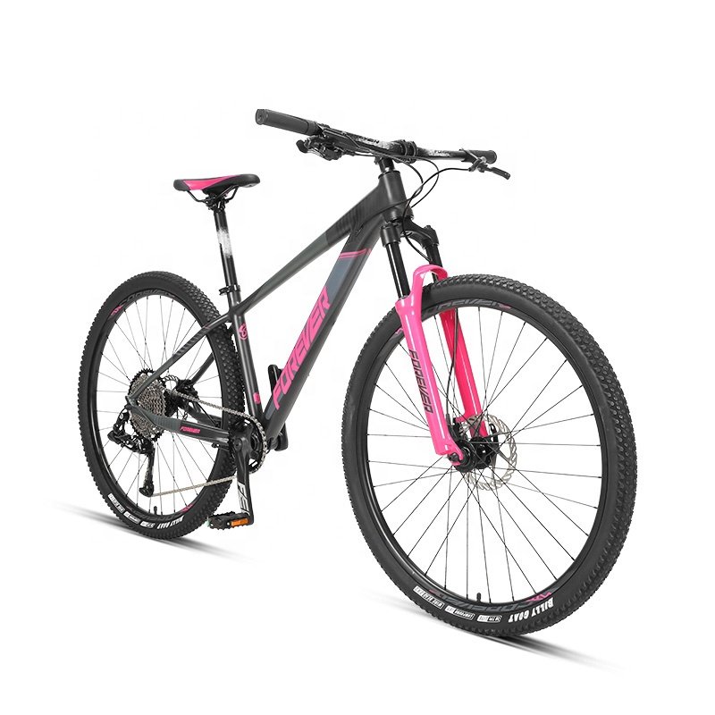 RTS FOREVER FM075 29 Inch 12 Speed Hydraulic Disc brake Mountain Bicycle Bike For Men