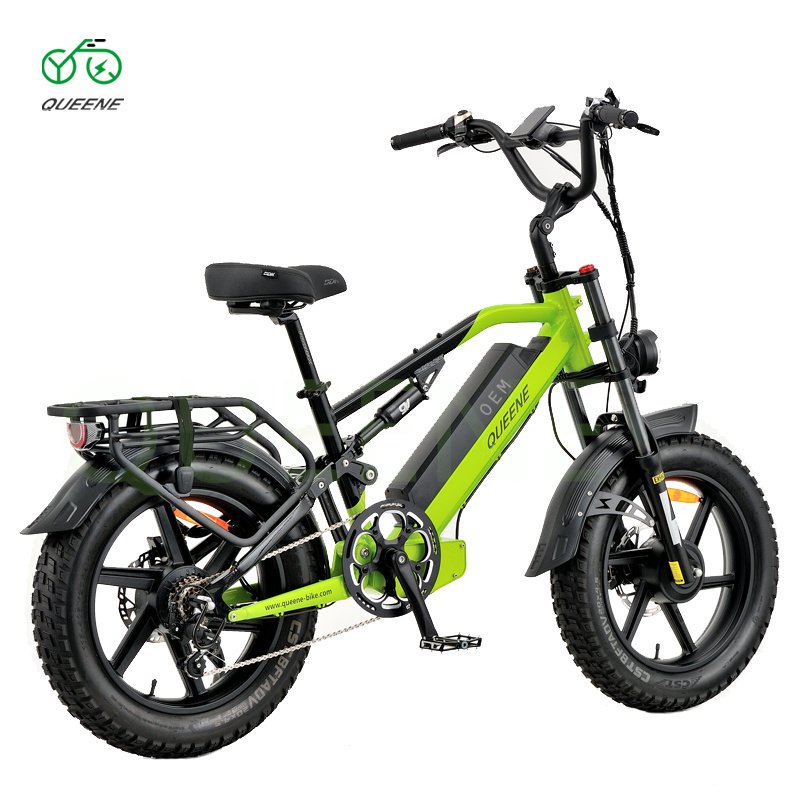 QUEENE/Powerful Electric Bike/Electric Bicycle/Enduro ebike