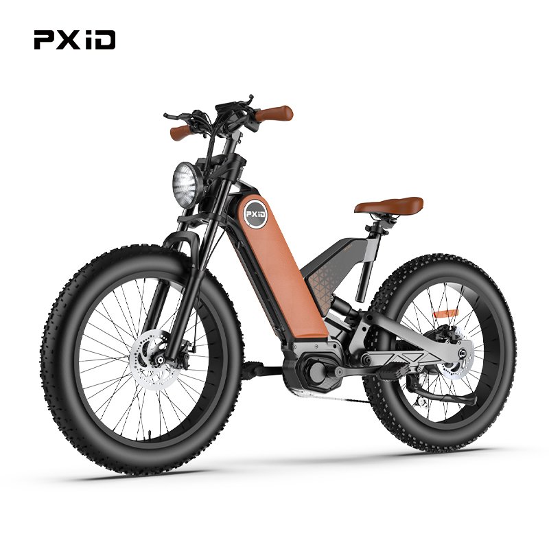 Retail Price custom electric dirt bikes 24inch fat tire electric mountain bike full suspension, max 45km/h fast electric bike
