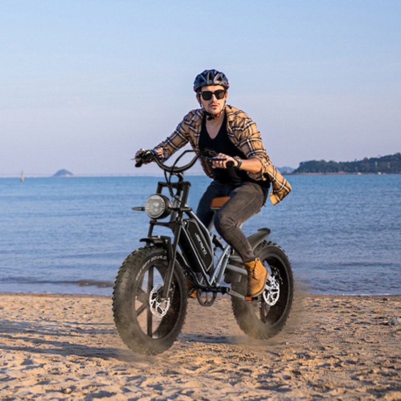 2024 New Arrival Off-road Electric Dirt Bikes FatBike Electric Ebike Fat tire 20 Inch 750w 20MPH electric mountain bicycle
