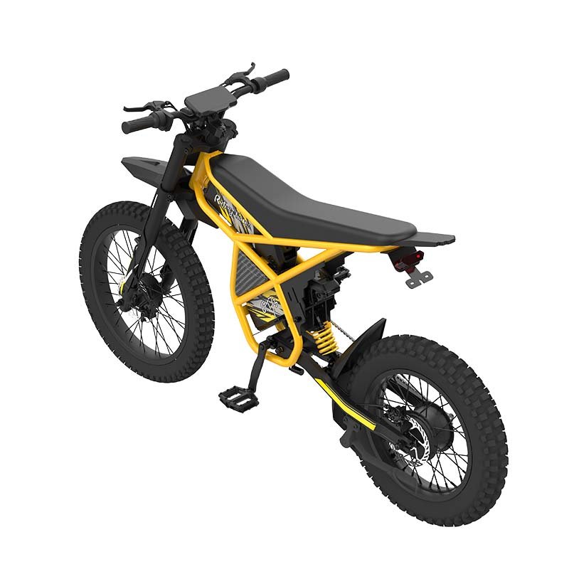 Riding'times GT73 EU Warehouse E-Bike 110Km Long Range Double Battery 2000W Fat Tire All Terrain Electric Dirt Bike