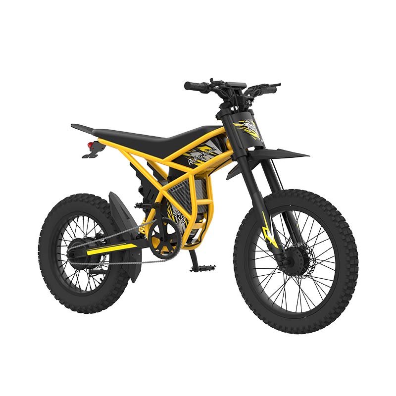 Riding'times GT73 EU Warehouse E-Bike 110Km Long Range Double Battery 2000W Fat Tire All Terrain Electric Dirt Bike