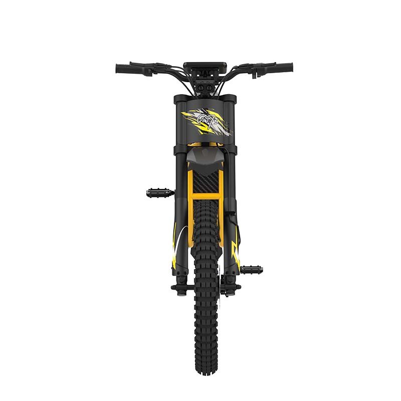 Riding'times GT73 EU Warehouse E-Bike 110Km Long Range Double Battery 2000W Fat Tire All Terrain Electric Dirt Bike