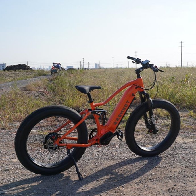 Ready sample long range 750w 17.5/14.5Ah electric bike 1000w fat tire full suspension electric mountain bike for sale
