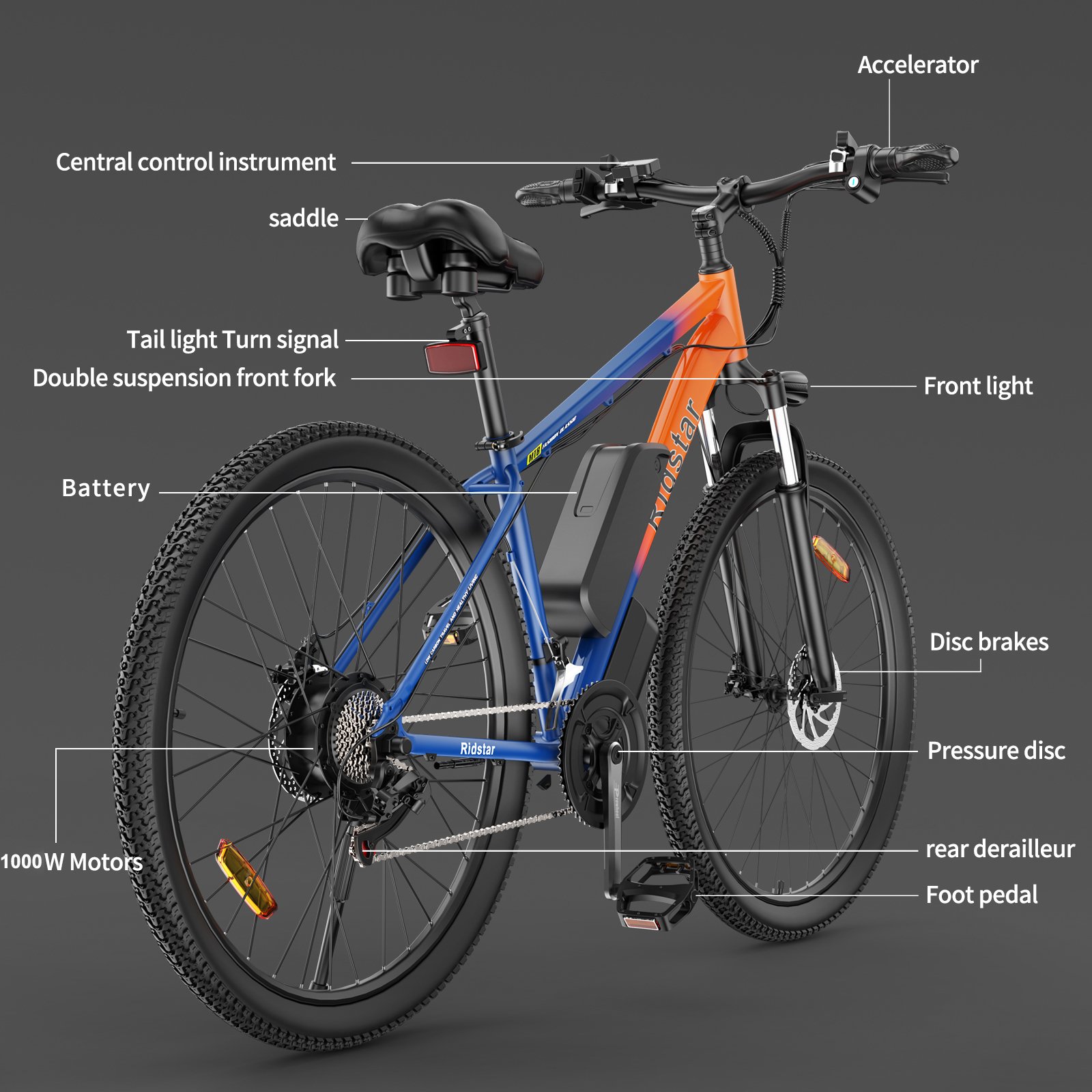 EU Warehouse Ridstar S29 1000w 15Ah 48V Battery 50km/h 21 Speed Electric City Bike Adults Electric Bicycle Mountain e-bike