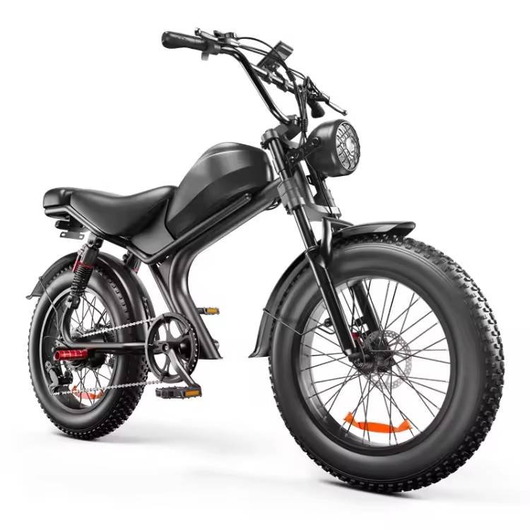 electric bicycle Full suspension ebike 48V 1000Watt 20inch electric fat tire mountain bike