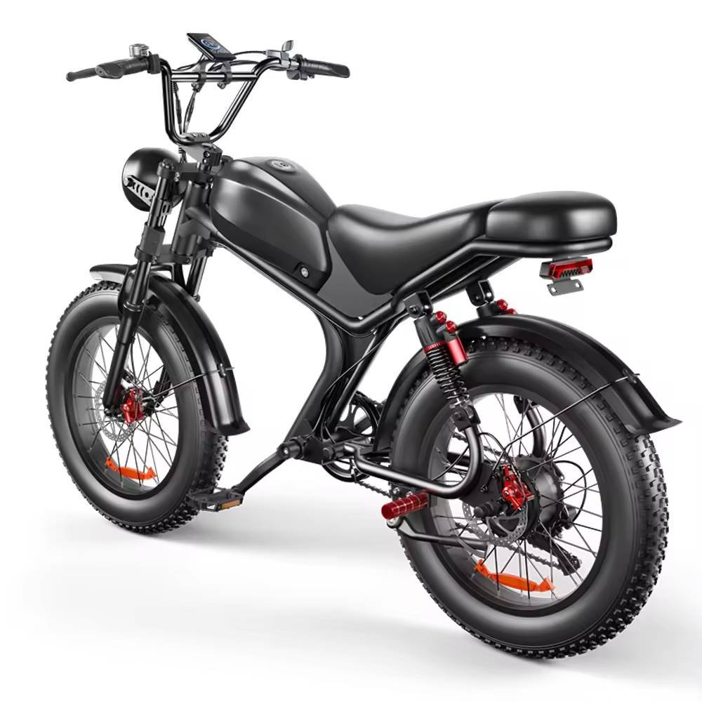 electric bicycle Full suspension ebike 48V 1000Watt 20inch electric fat tire mountain bike