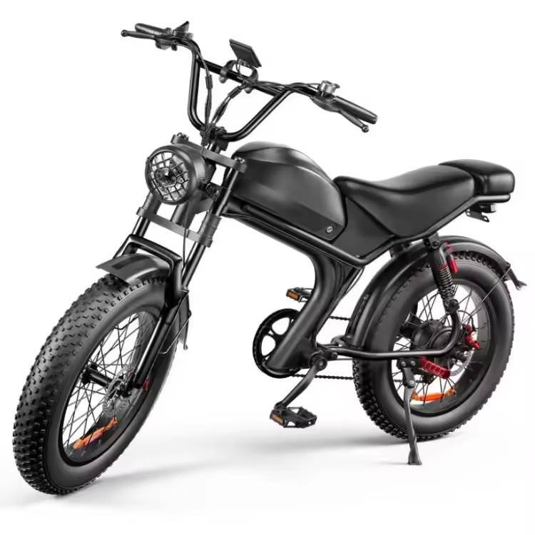 electric bicycle Full suspension ebike 48V 1000Watt 20inch electric fat tire mountain bike