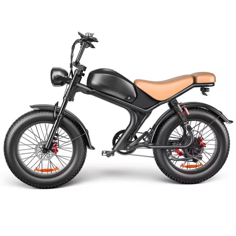 electric bicycle Full suspension ebike 48V 1000Watt 20inch electric fat tire mountain bike