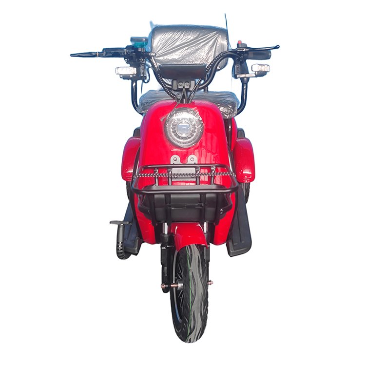 tricycle electric bike 3 wheel battery power 1500w 1000w tricycle electric bike for adults
