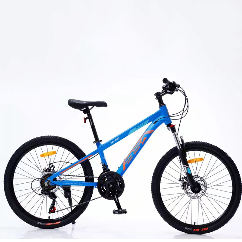 Portable pulley fat tyer dual disc brake second hand 21 gear cycle 1 piece derailleur boys mountain Bike Gear Cycle