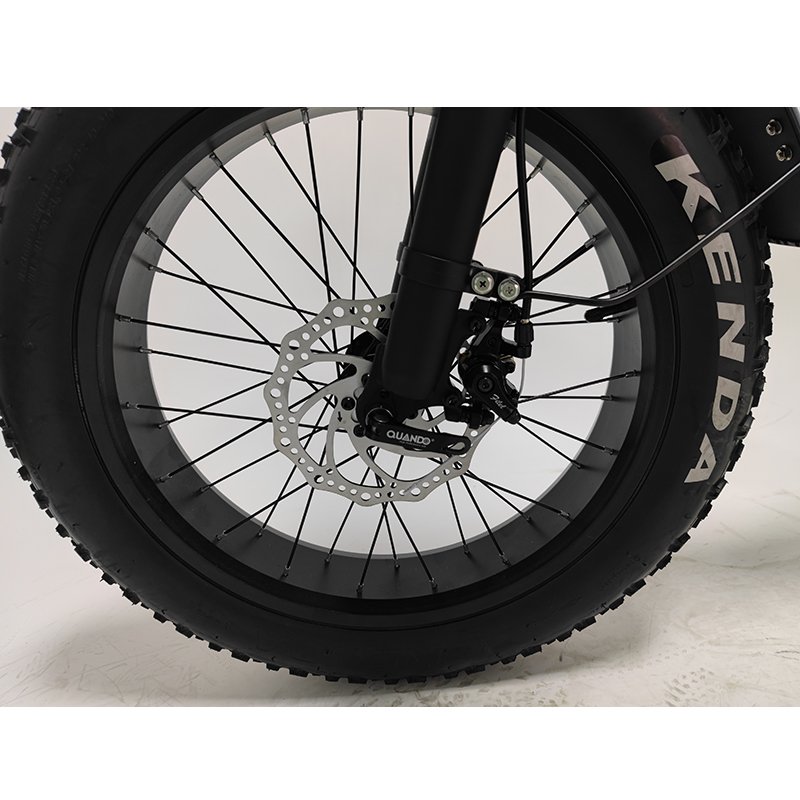 Electric Fat Tire Bike hub motors bicycle retro electric motorcycle 7 speed mtb e-bike 4.0 inch ebike