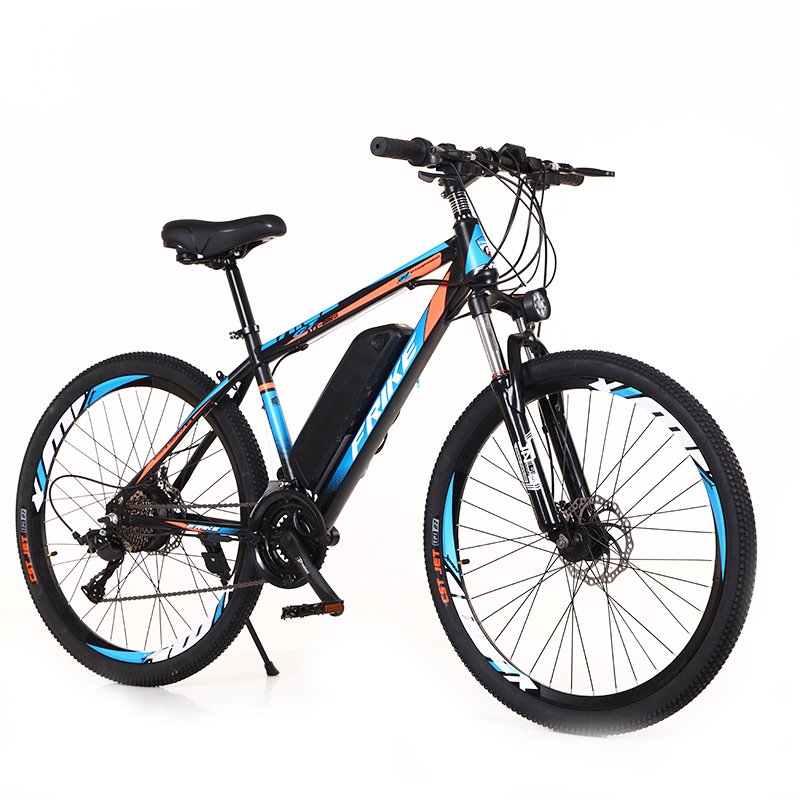 factory hot sale 21/24/27 speed 250W350W1000W frike electric mountain bike e bike 29