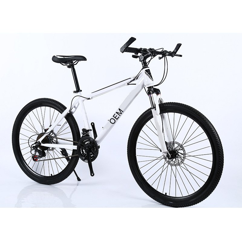 29 Inch 21 Speeds Suspension Fork 19 Inch Frame bicycle frame mountain bike 30 speed mountain bicycle with Disc-Brake