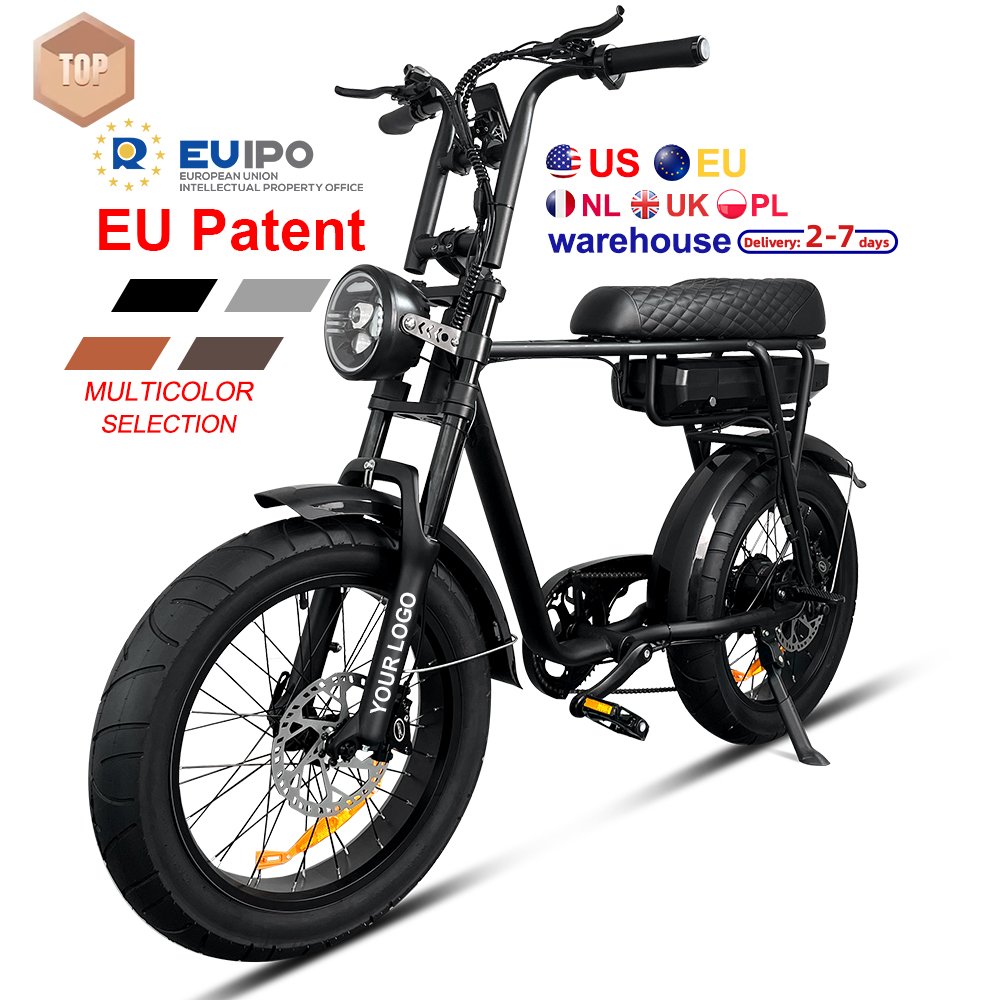 7GO 2024 48V 13Ah 250W Electric Mountain Bike 20x4 Inch 7-Speed Dirt Electric Bicycle EU US Warehouse Off Road Ebike