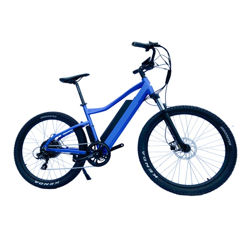 2022 New electric mountain bike, max speed 48km/h ebike