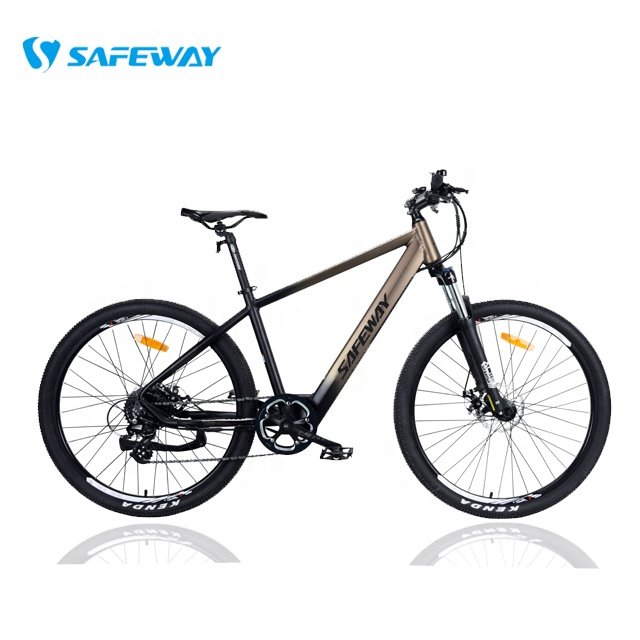 Hot Sale 250W High Speed Rear Motor E Bikes Electric Bike Mountain Alloy Frame