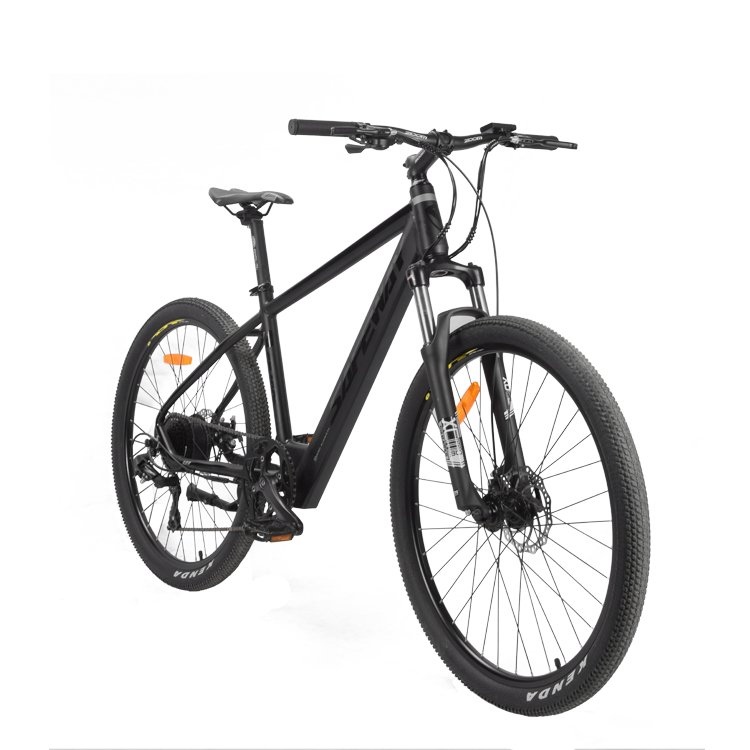 Hot Sale 250W High Speed Rear Motor E Bikes Electric Bike Mountain Alloy Frame
