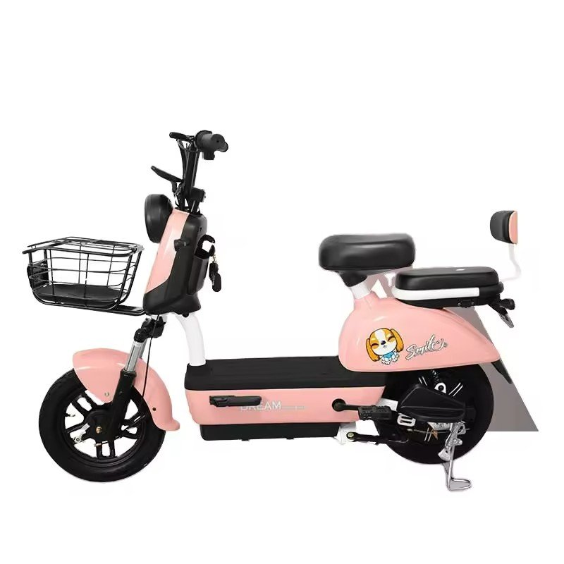 China supplier ebike frame suspension delivery ebike electric bicycle with 2 seats electric bike