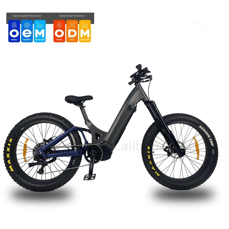 QUEENE/NEW Arrival High Performance 48V750W 1000W Mid Drive Motor Electric Mountain Bicycle For Women