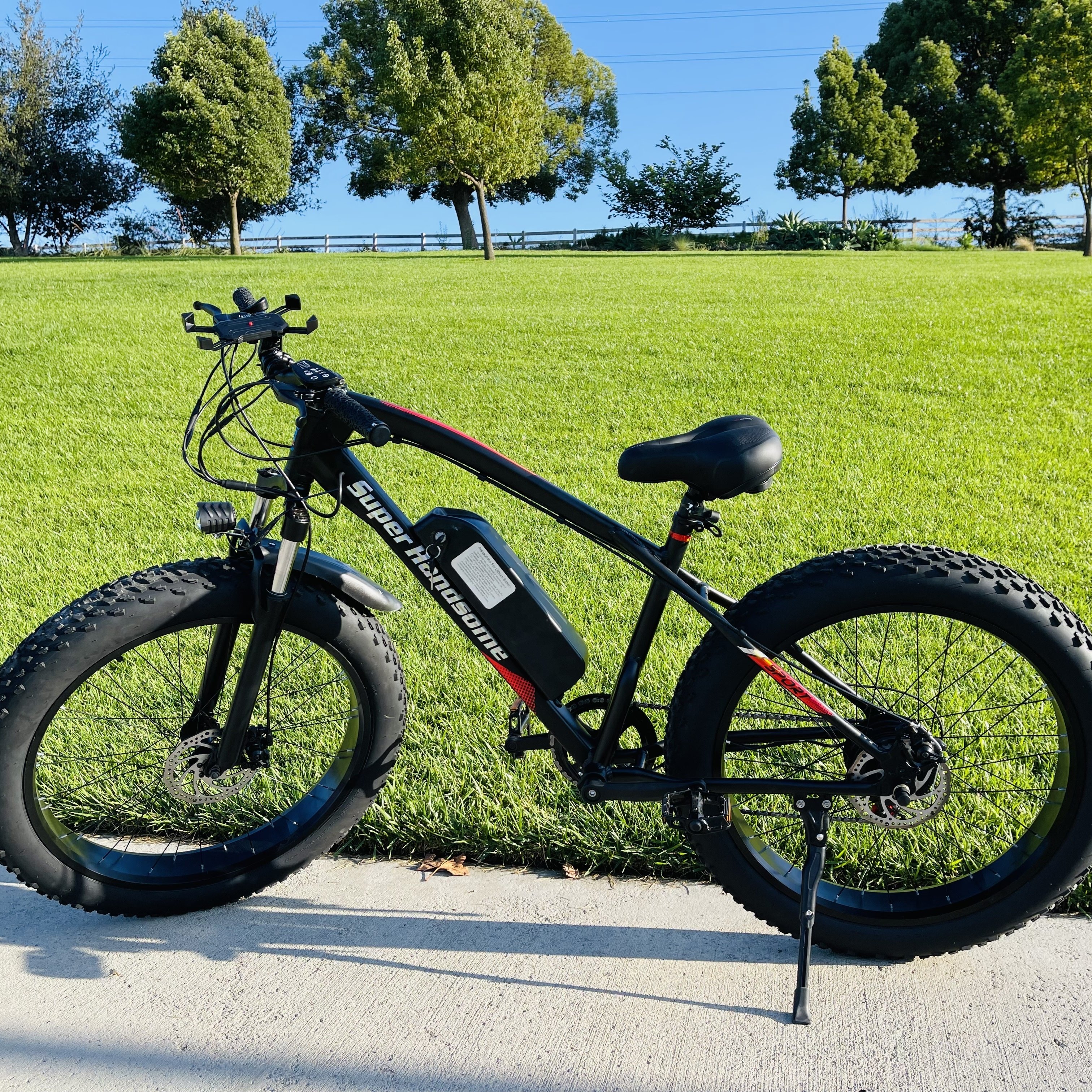 2022 Super Handsome new 48v 250w mountain electric bike bicycle short shipping time direct factory