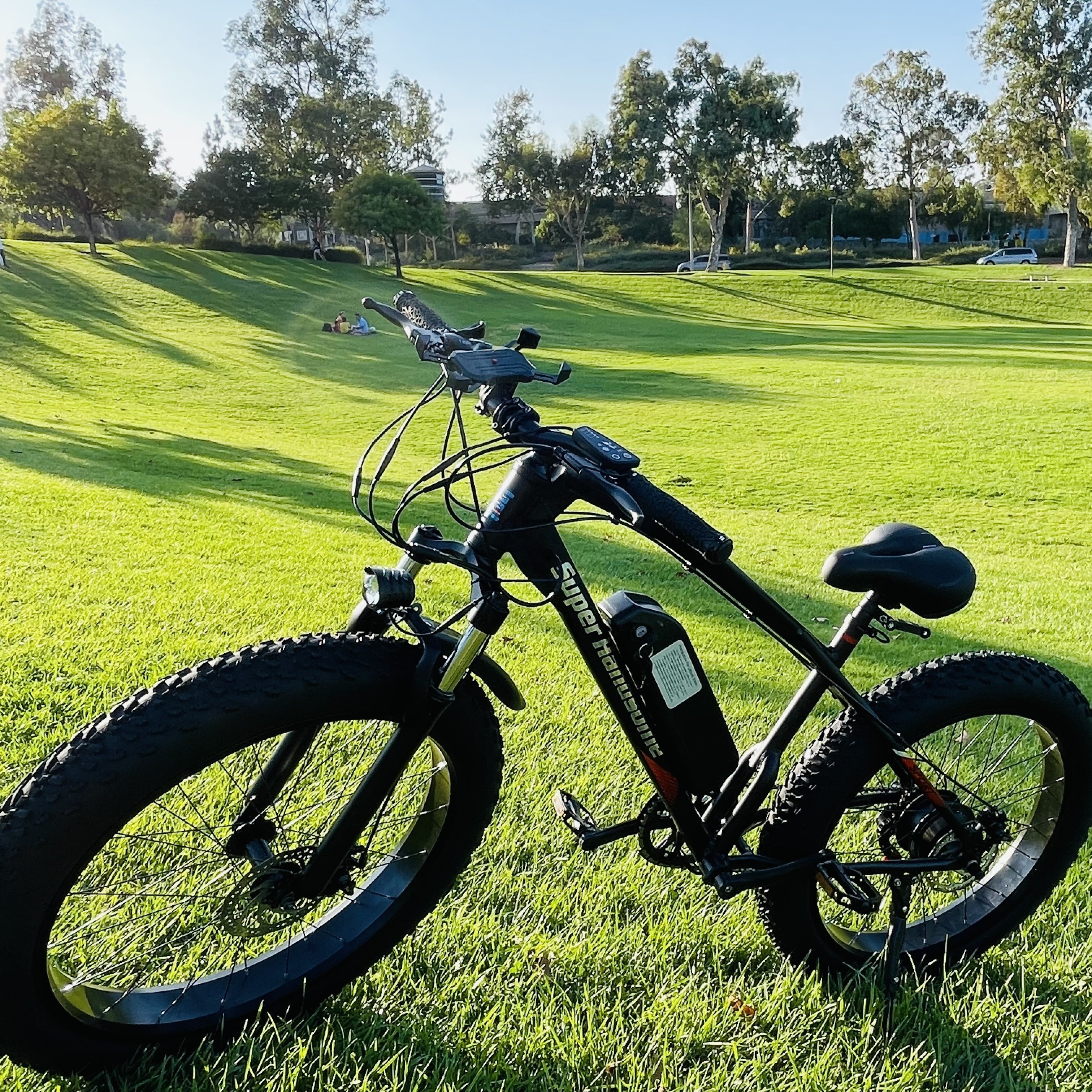 2022 Super Handsome new 48v 250w mountain electric bike bicycle short shipping time direct factory