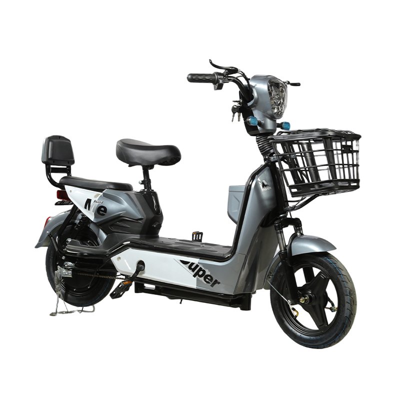 Factory price cheaper 48 volt 350W fashion novel electric bicycle electric adult bicycle electric bicycle
